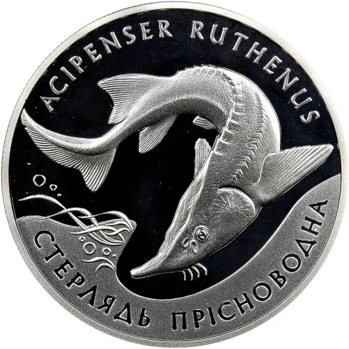 Реверс монети срібла «Срібна монета Стерлядь прісноводна», 2012 рік, 10 ₴