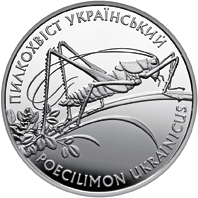 Реверс монети срібла «Срібна монета Пилкохвіст український», 2006 рік, 10 ₴