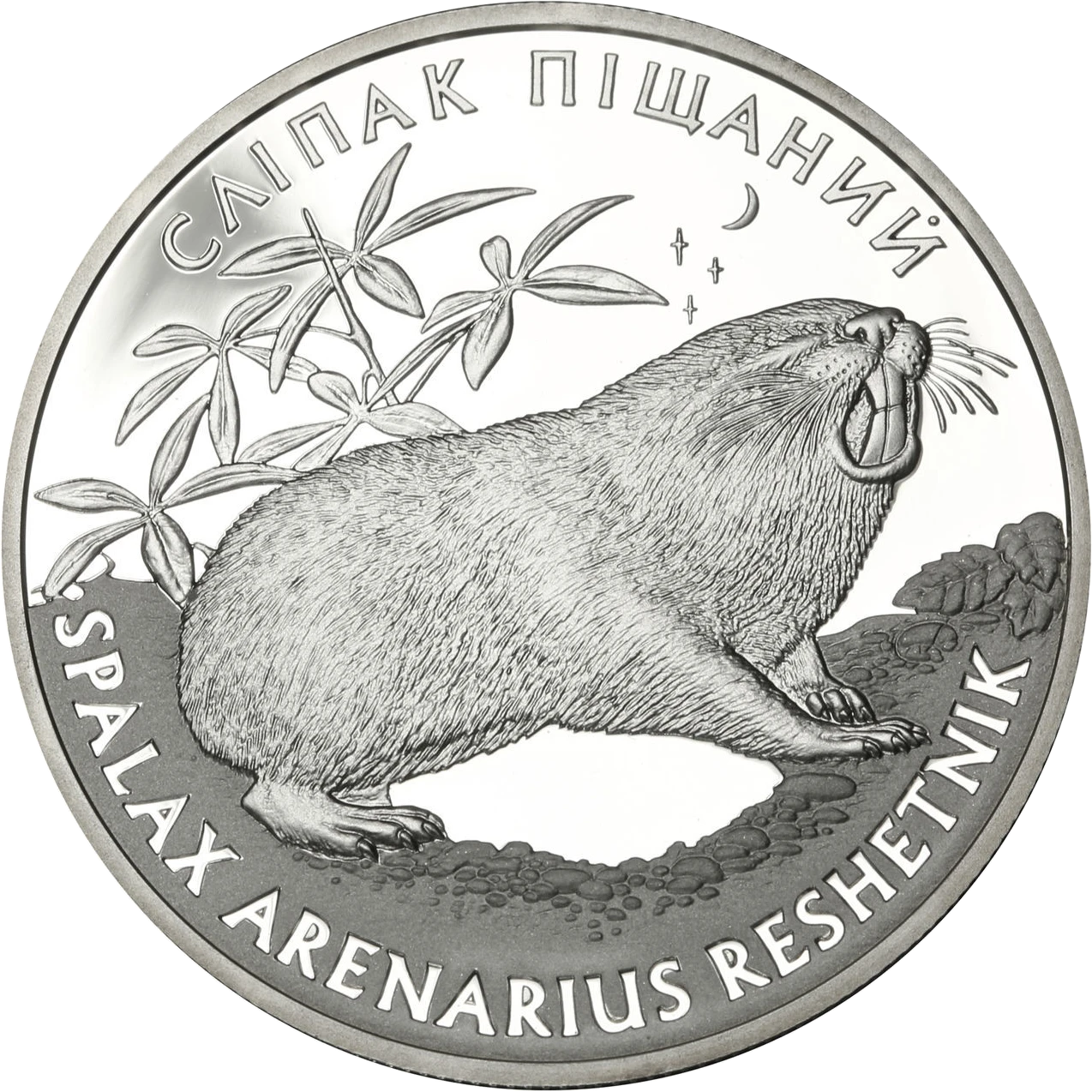 Реверс монети срібла «Срібна монета Сліпак піщаний», 2005 рік, 10 ₴