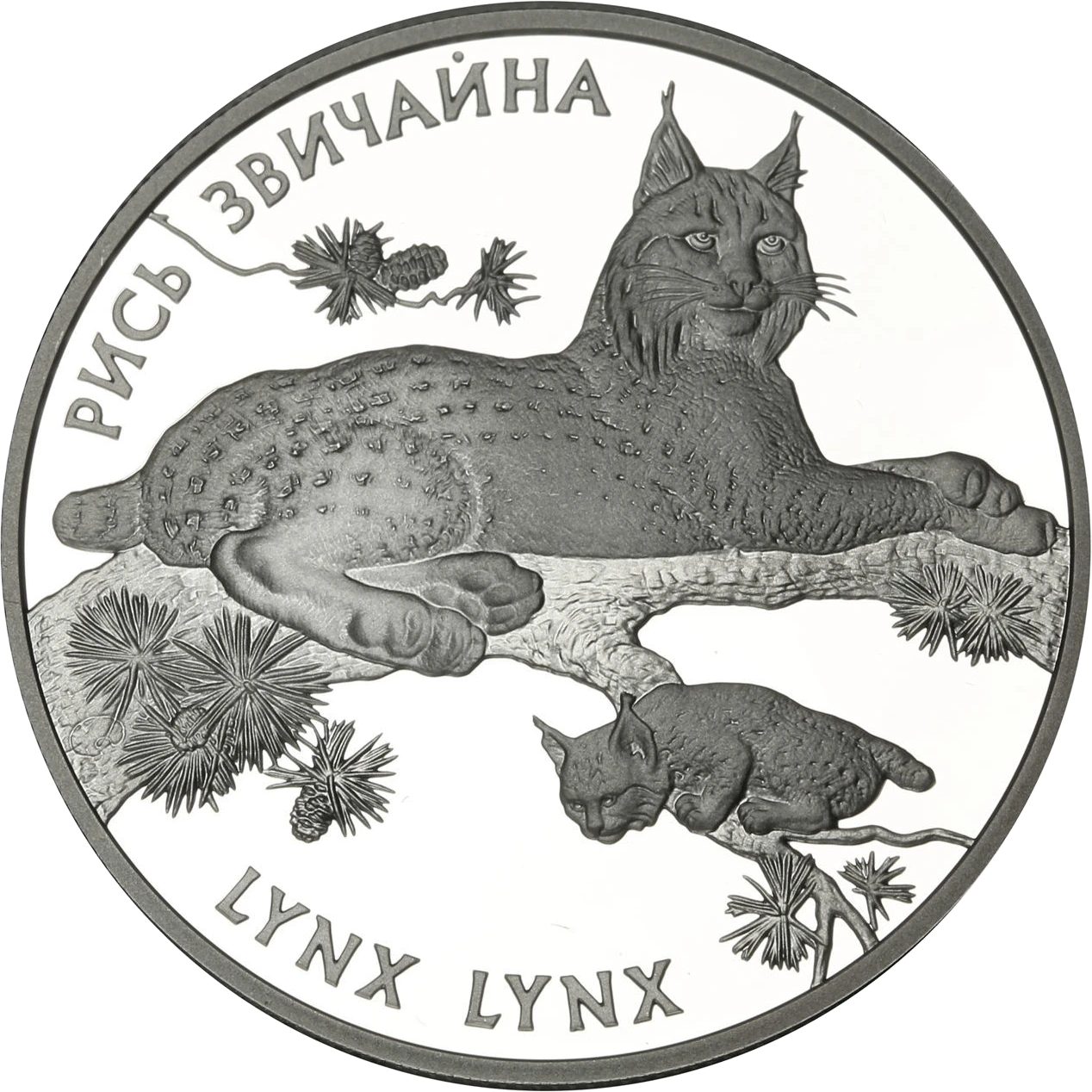 Реверс монети срібла «Срібна монета Рись звичайна», 2001 рік, 10 ₴