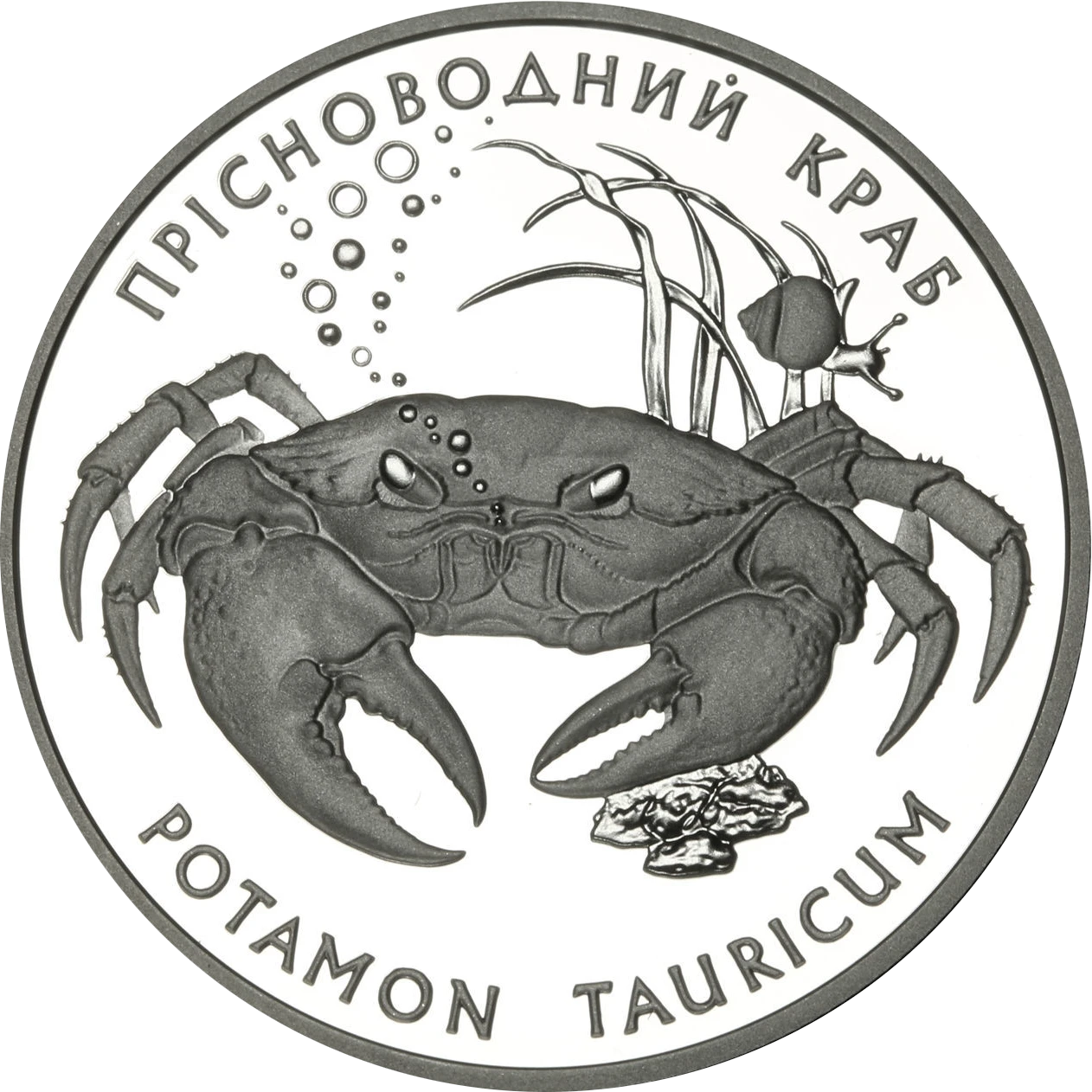 Реверс монети срібла «Срібна монета Краб прісноводний», 2000 рік, 10 ₴