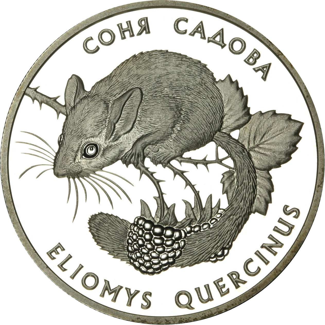 Реверс монети срібла «Срібна монета Соня садова», 1999 рік, 10 ₴