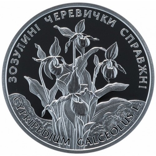 Реверс монети срібла «Срібна монета Зозулині черевички справжні», 2016 рік, 10 ₴