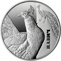 Реверс монети срібла «Срібна монета Павич», 2016 рік, 5 ₴