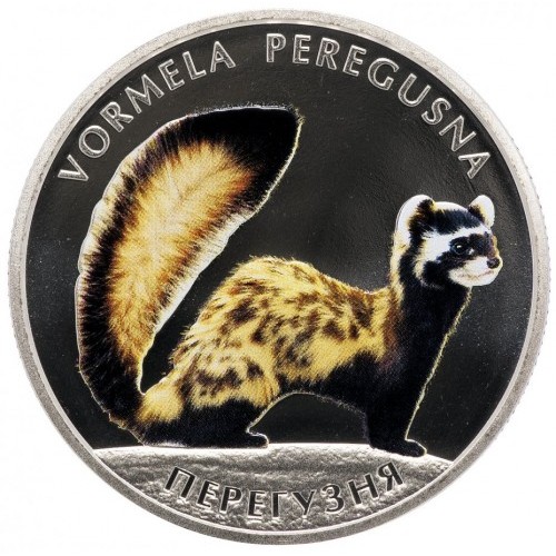 Реверс монети нейзильберу «Монета Перегузня», 2017 рік, 2 ₴