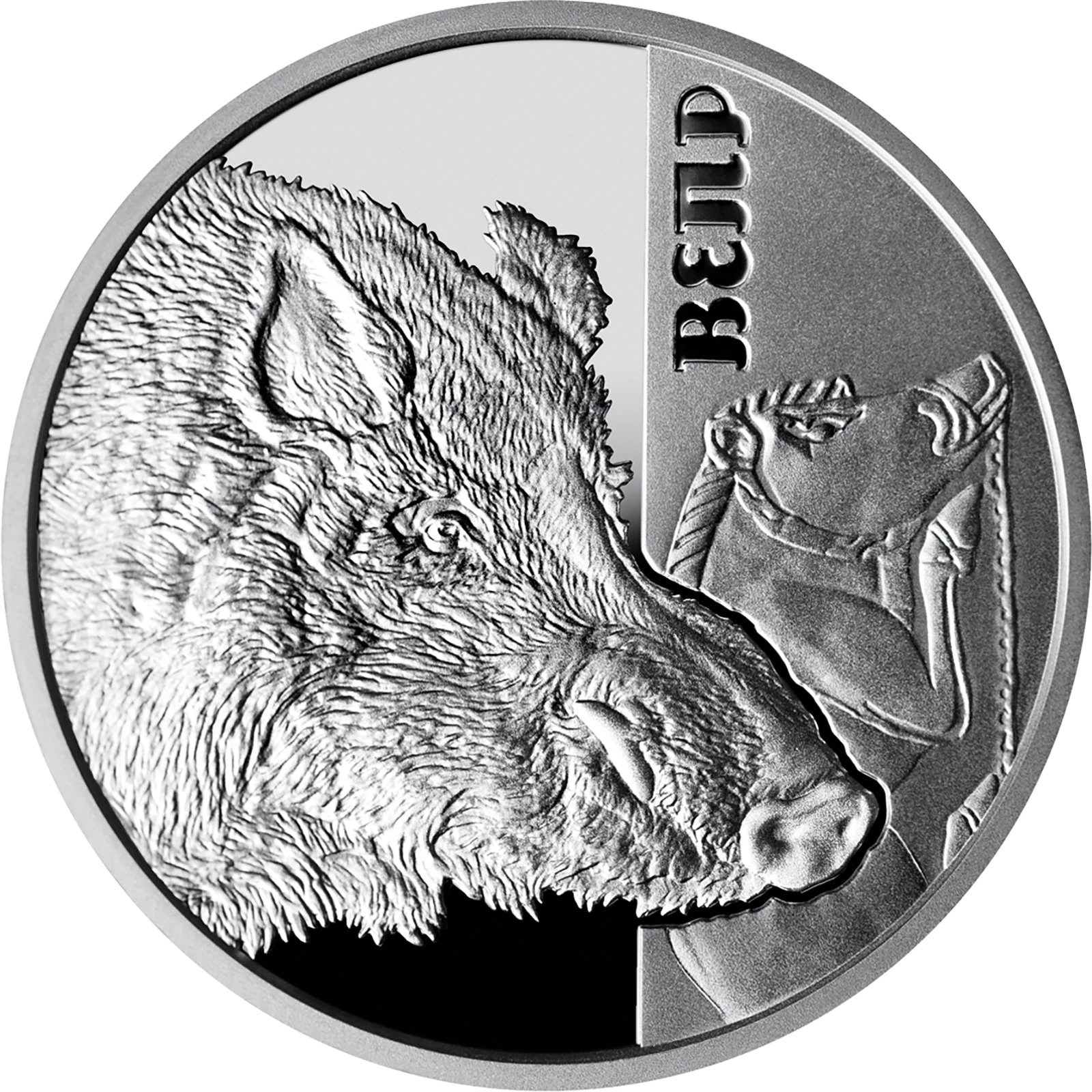 Реверс монети срібла «Срібна монета Вепр», 2018 рік, 5 ₴