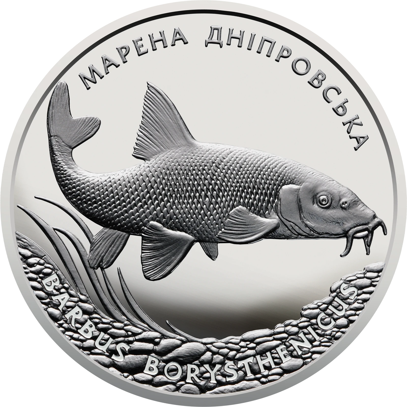 Реверс монети срібла «Срібна монета Марена дніпровська», 2018 рік, 10 ₴