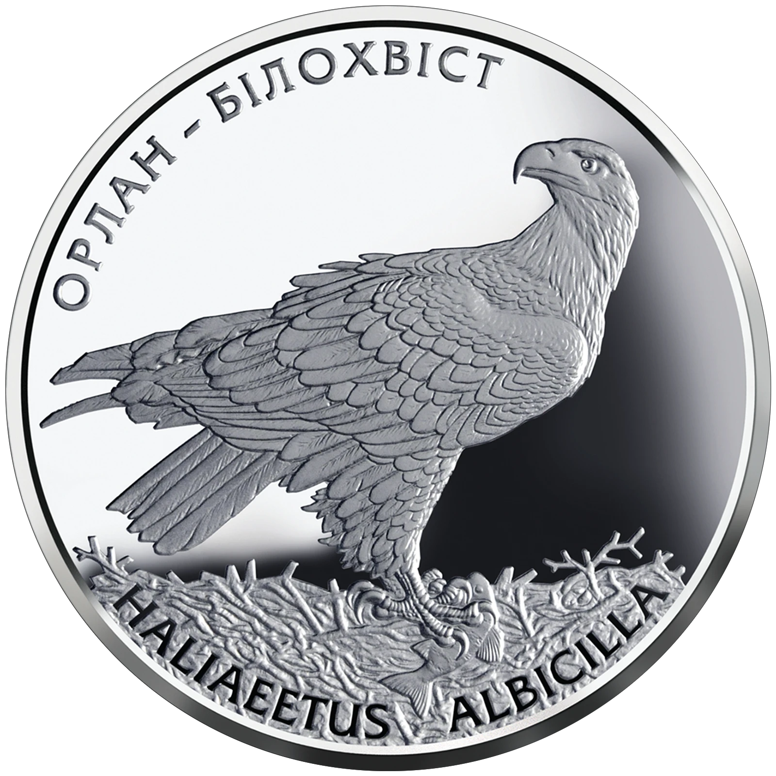 Реверс монети срібла «Срібна монета Орлан-білохвіст», 2019 рік, 10 ₴