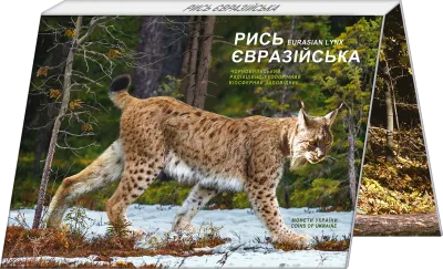 Аверс Монета Чорнобиль. Відродження. Рись євразійська (у сувенірній упаковці) 5 грн.