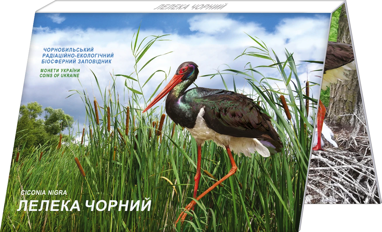 Аверс монети нейзильберу «Монета Чорнобиль. Відродження. Лелека чорний у сувенірному пакованні», 2024 рік, 5 ₴