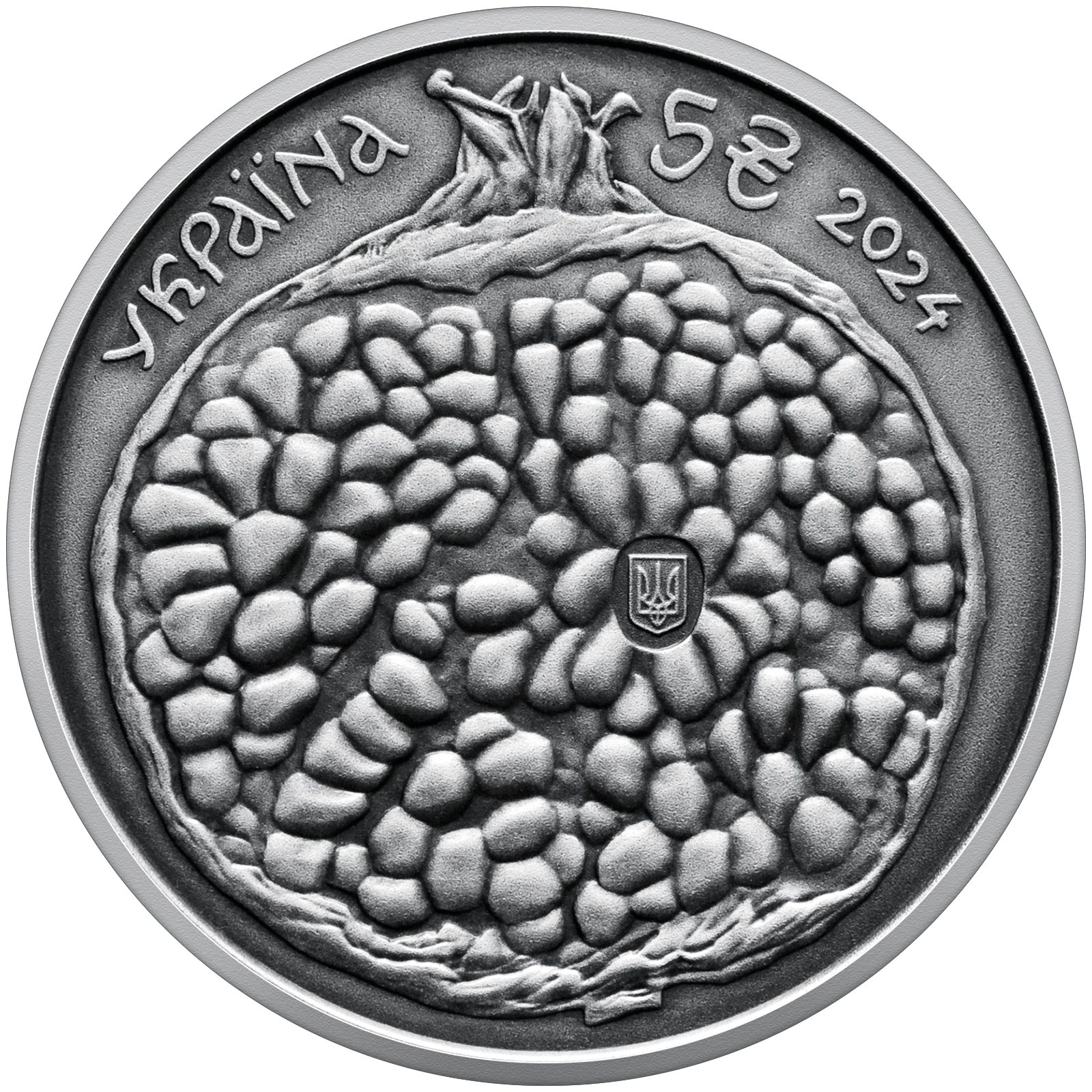 Аверс монети срібла «Срібна монета Сергій Параджанов», 2024 рік, 5 ₴