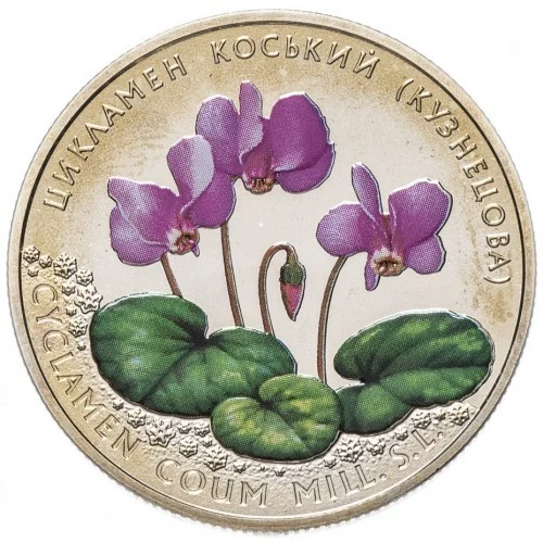 Реверс монети нейзильберу «Монета Цикламен коський (Кузнецова)», 2014 рік, 2 ₴