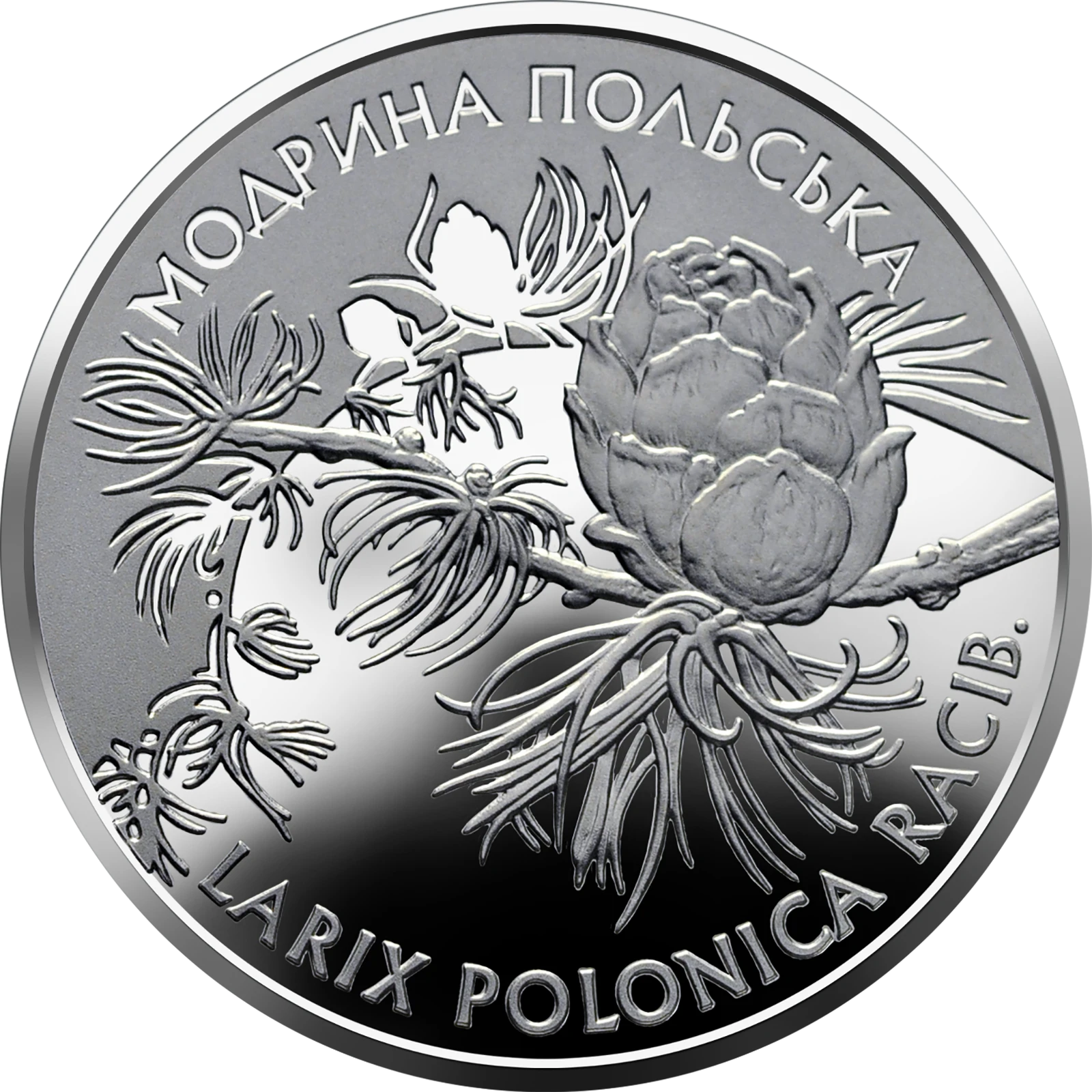 Реверс монети нейзильберу «Монета Модрина польська», 2001 рік, 2 ₴